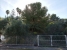 20-d1f7658cbe4ba6cd8666fec30fba80ad.jpg