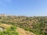 29-7c2f312881aea9bbe9ddaeb9640e2c9a.jpg